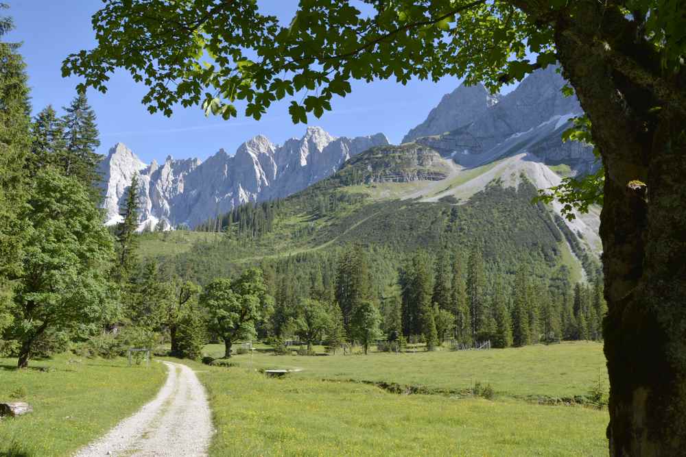 Hier entlang wandern auch Sie auf der Karwendeltour: Der kleine Ahornboden mit den steilen Zacken der Lalidererwände